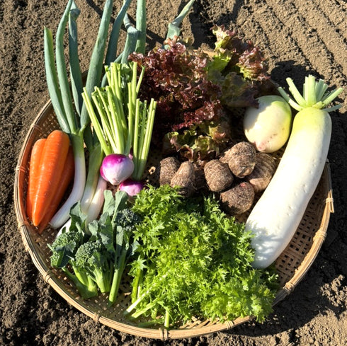 【12/26まで限定販売】冬の”とくとく”野菜セット《おまかせ7種》
